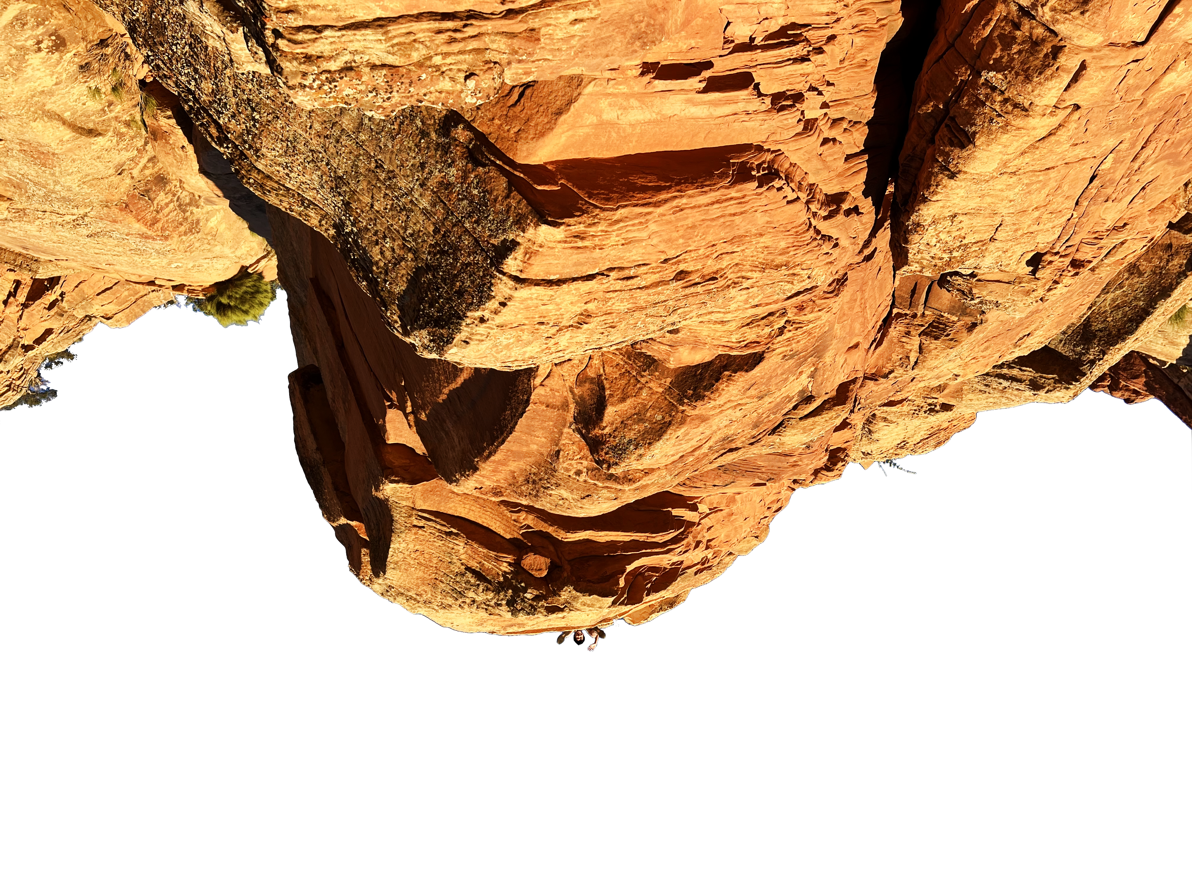 albert on a cliff
